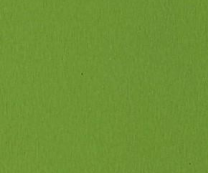 2211 SATIN GREEN