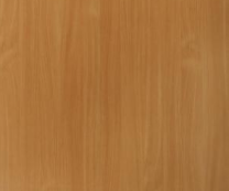 1310 BAVARIAN BEECH
