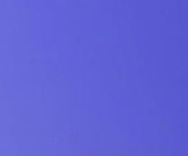 3109 VIOLET