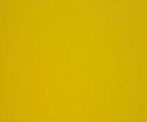 3116 YELLOW 